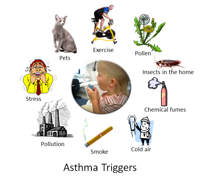 Photo of asthma triggers